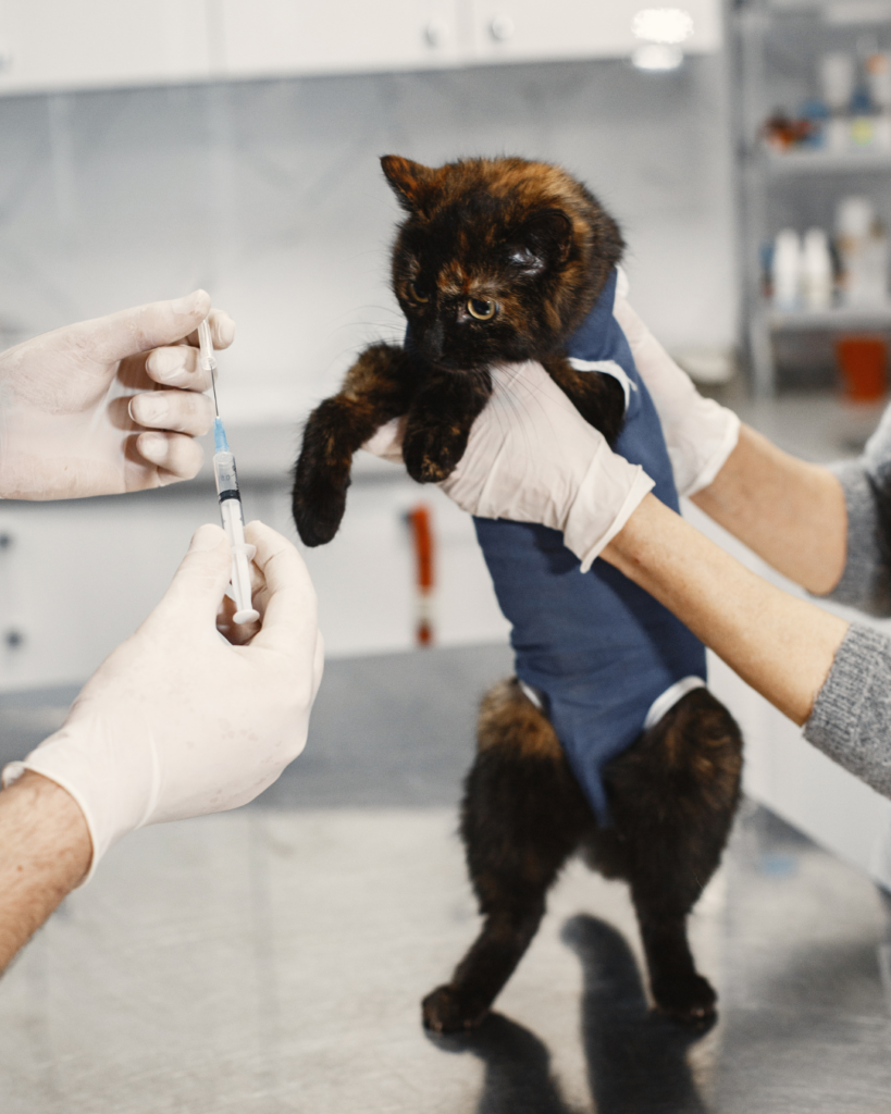 Для ветеринарів