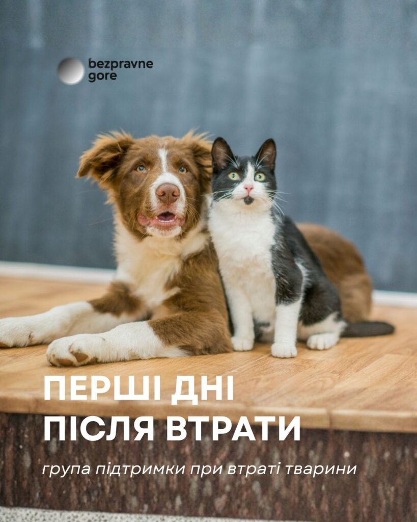 Перші дні після втрати